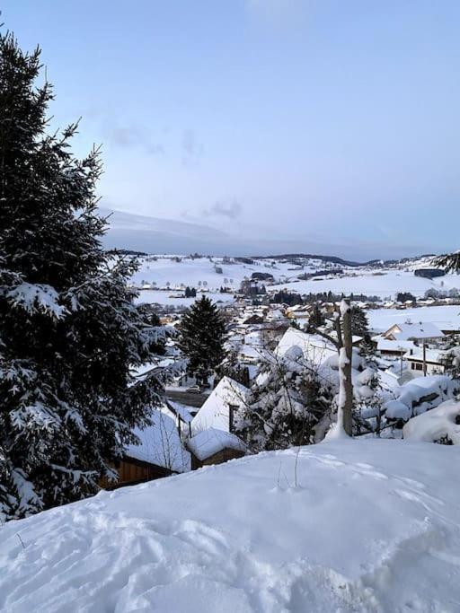 Chalet Pagotin - Le Renversant Métabief エクステリア 写真